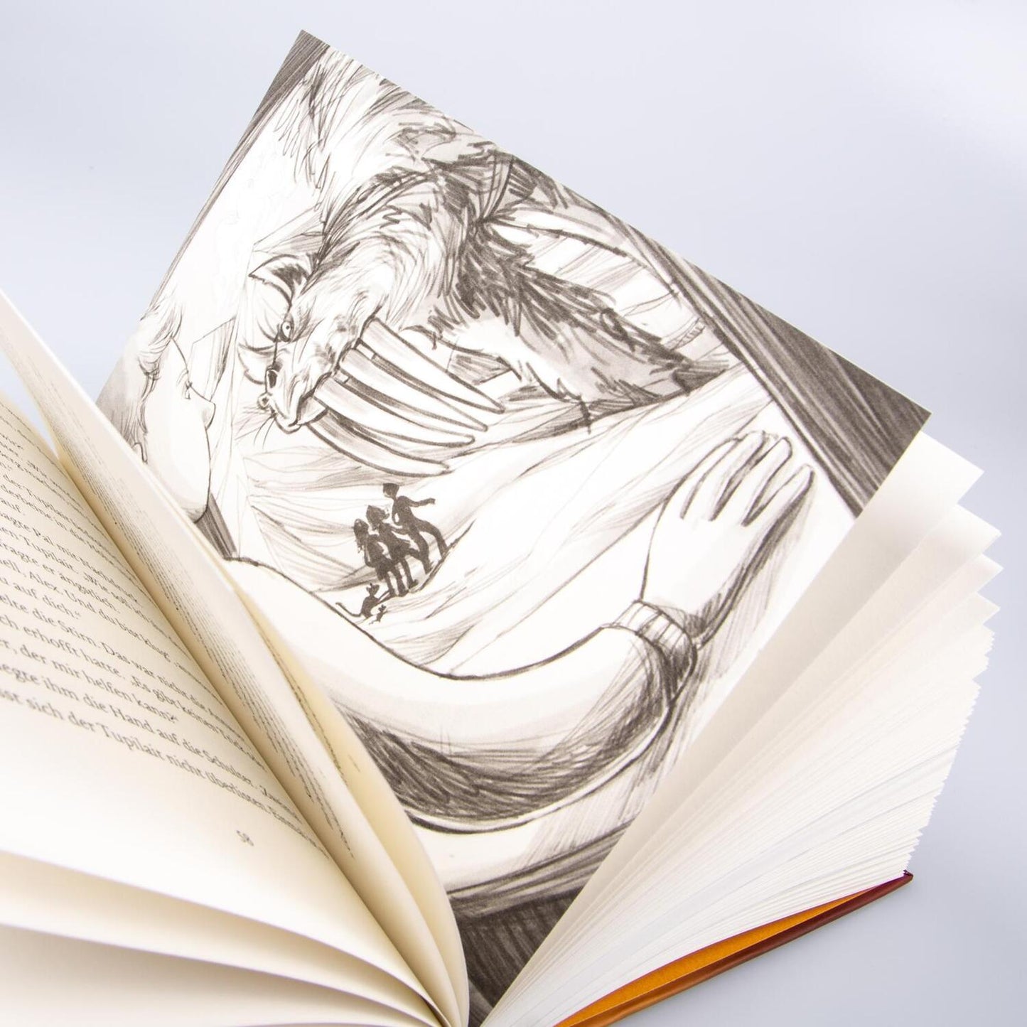 Carlsen Im Zeichen der Zauberkugel 6: Die Macht des magischen Zirkels (Deutsch, 2020, Stefan Gemmel, Katharina Madesta)