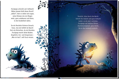 Coppenrath Furzipups (Bd. 4) (Deutsch, 2023, Kai Lüftner, Wiebke Rauers)