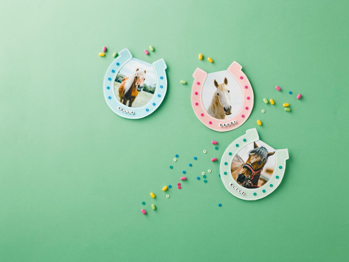 Das grosse Pferdebastelbuch