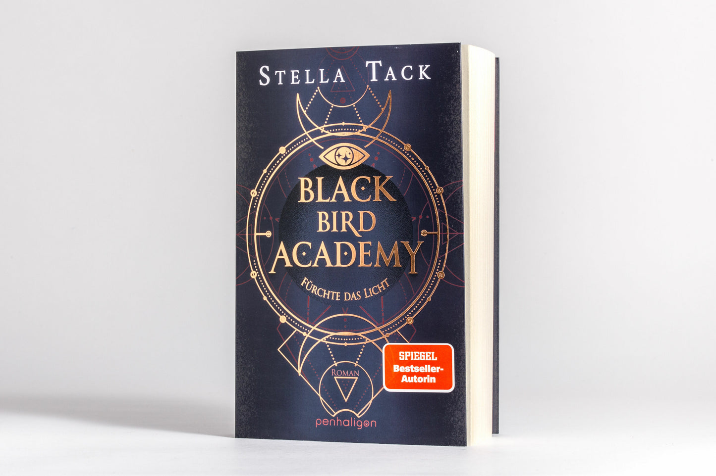 Fürchte das Licht / Black Bird Academy Bd.2