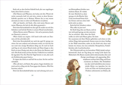 Die Suche nach dem magischen Amulett / Lichterland Bd.1