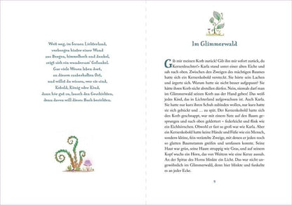 Die Suche nach dem magischen Amulett / Lichterland Bd.1