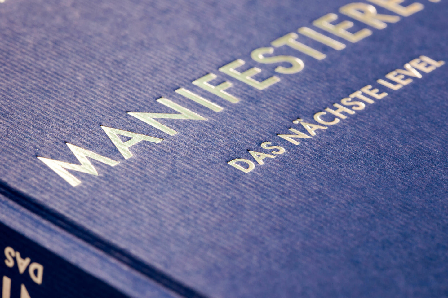 Integral Manifestiere! Das nächste Level (Deutsch, 2024, Roxie Nafousi)