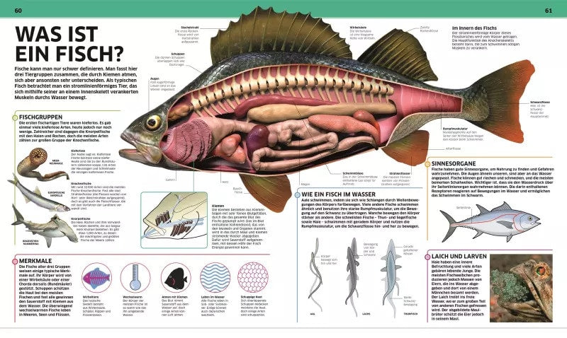 Dorling Kindersley Wissen. Tiere (Deutsch, 2017, John Woodward)