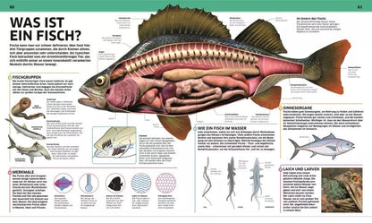 Dorling Kindersley Wissen. Tiere (Deutsch, 2017, John Woodward)