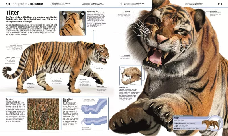 Dorling Kindersley Wissen. Tiere (Deutsch, 2017, John Woodward)