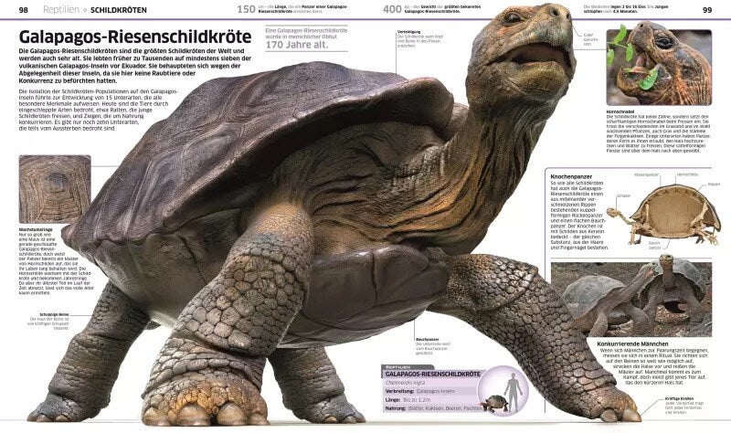 Dorling Kindersley Wissen. Tiere (Deutsch, 2017, John Woodward)