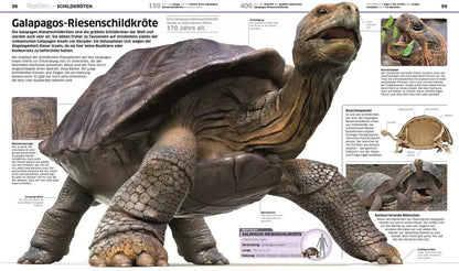 Dorling Kindersley Wissen. Tiere (Deutsch, 2017, John Woodward)