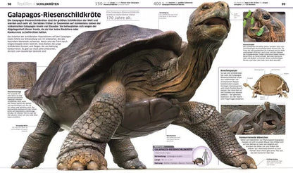 Dorling Kindersley Wissen. Tiere (Deutsch, 2017, John Woodward)