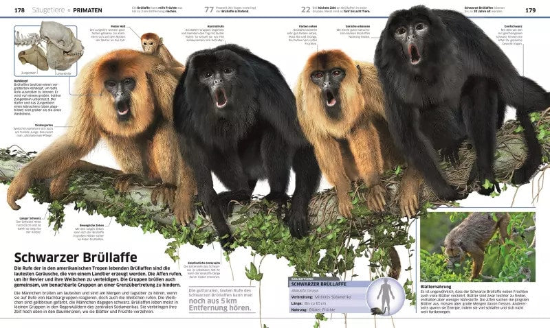 Dorling Kindersley Wissen. Tiere (Deutsch, 2017, John Woodward)