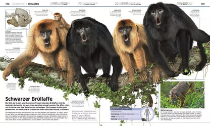 Dorling Kindersley Wissen. Tiere (Deutsch, 2017, John Woodward)