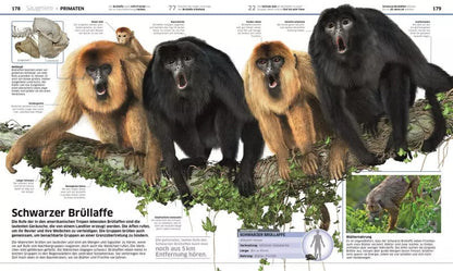 Dorling Kindersley Wissen. Tiere (Deutsch, 2017, John Woodward)