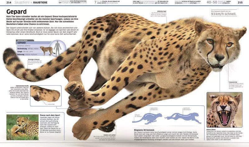 Dorling Kindersley Wissen. Tiere (Deutsch, 2017, John Woodward)