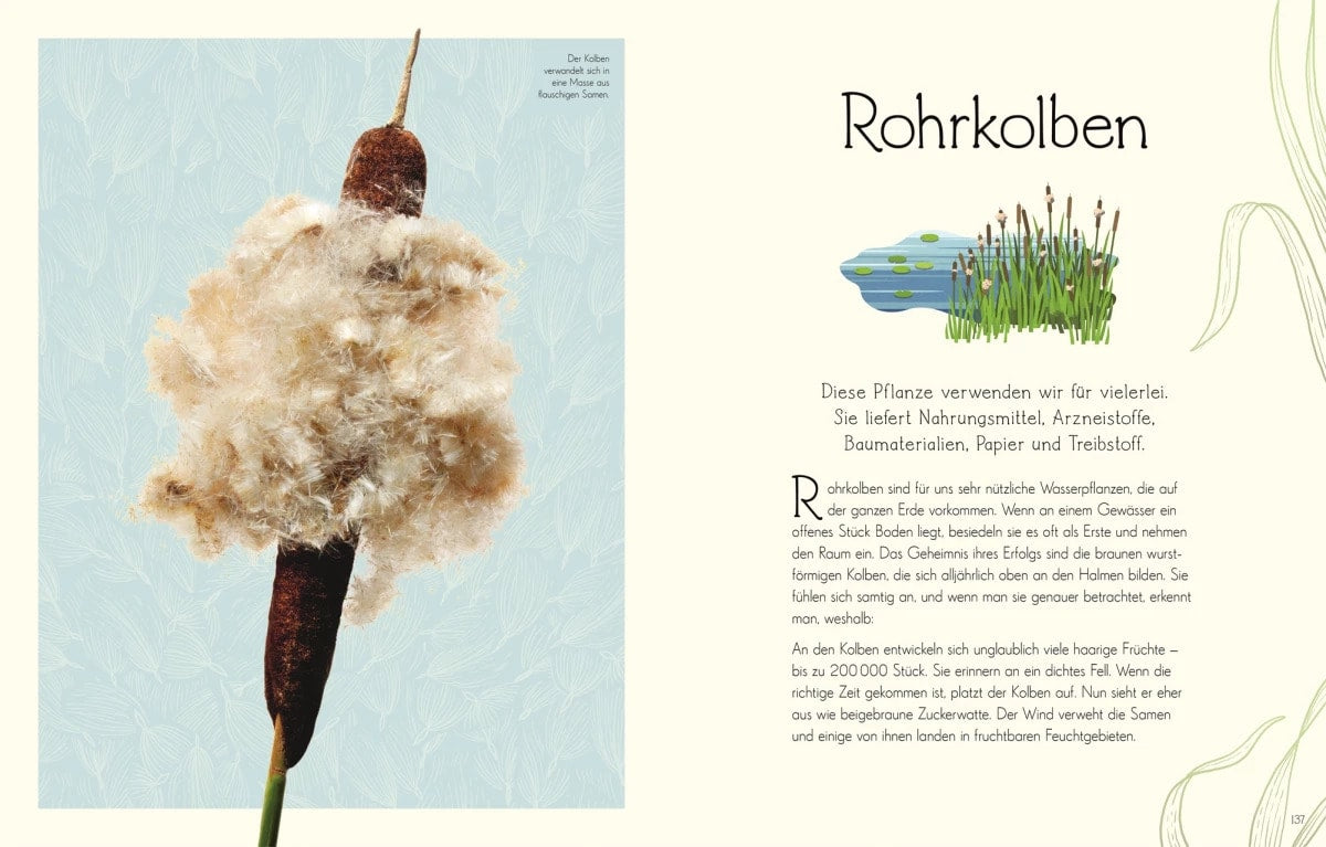 Dorling Kindersley Wundervolle Welt. Wasser (Deutsch, 2023, Daniel Long Sam Hume)