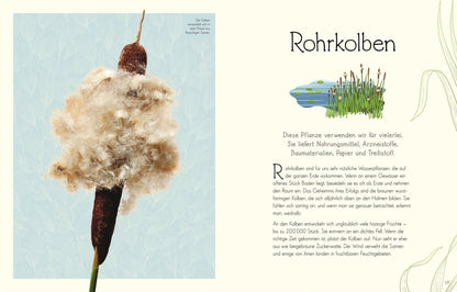 Dorling Kindersley Wundervolle Welt. Wasser (Deutsch, 2023, Daniel Long Sam Hume)