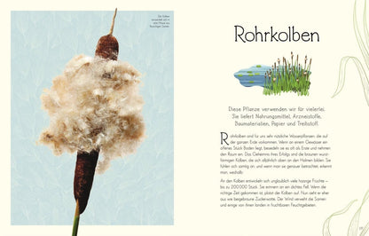 Dorling Kindersley Wundervolle Welt. Wasser (Deutsch, 2023, Daniel Long Sam Hume)