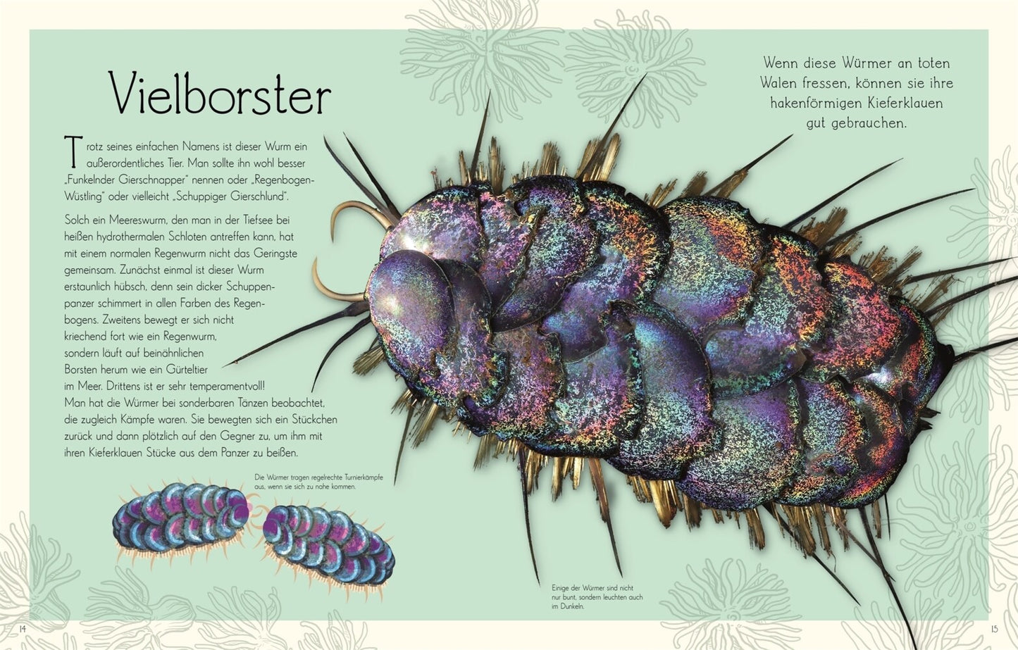 Dorling Kindersley Wundervolle Welt. Wasser (Deutsch, 2023, Daniel Long Sam Hume)