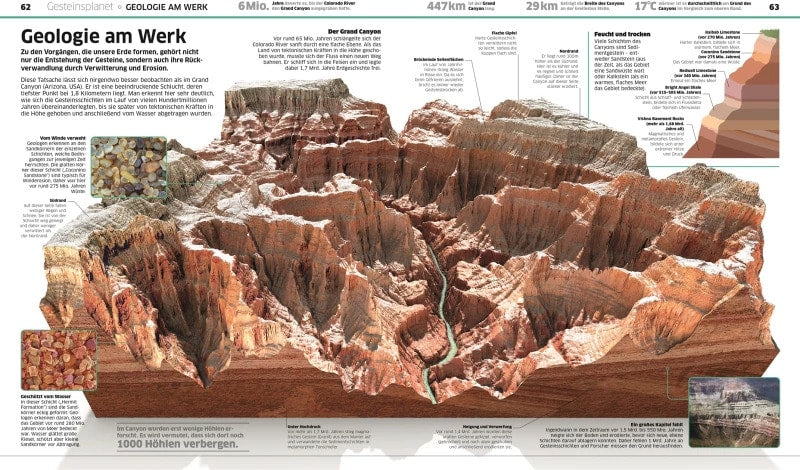 Dorling Kindersley DK Wissen. Erde (Deutsch, 2023, Birgit Reit, DK Verlag - Kids)