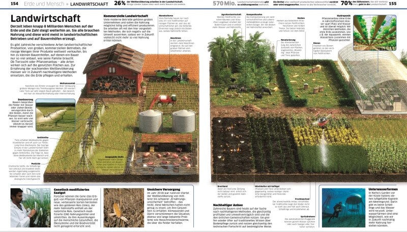 Dorling Kindersley DK Wissen. Erde (Deutsch, 2023, Birgit Reit, DK Verlag - Kids)