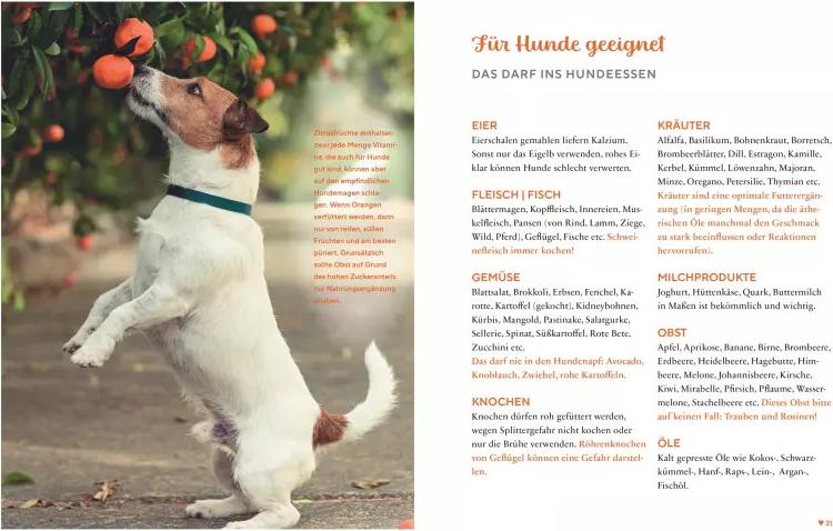 Gesund & lecker: Kochen für den Hund