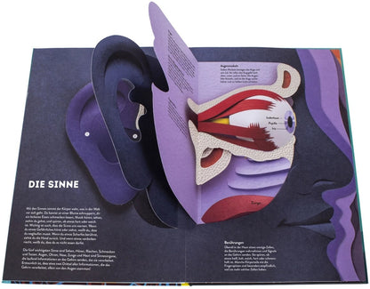 Dorling Kindersley Wissenswelten Körper (Deutsch, 2024, Ruth Symons)