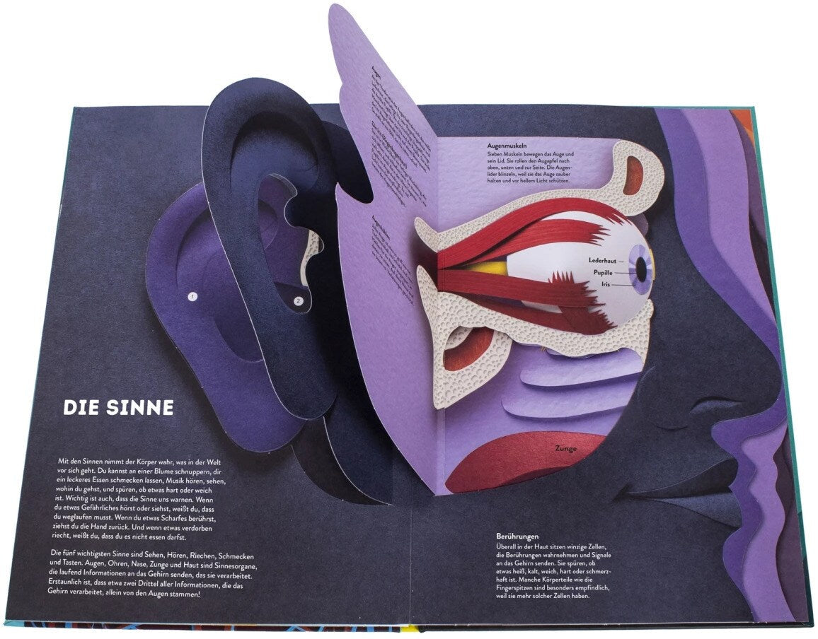 Dorling Kindersley Wissenswelten Körper (Deutsch, 2024, Ruth Symons)