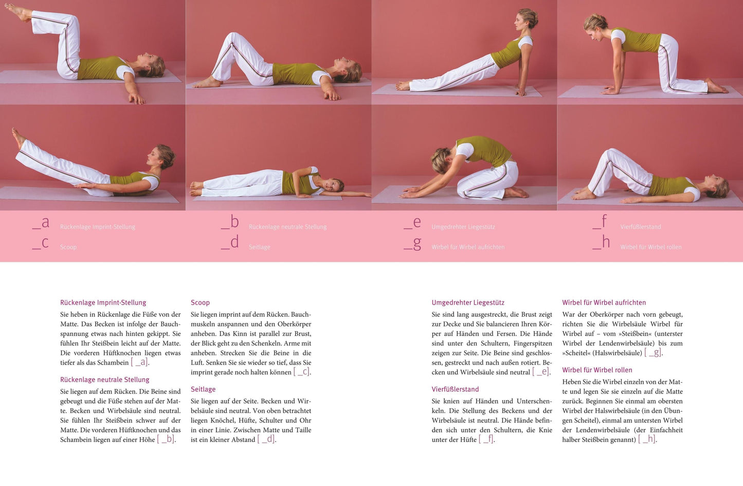 GU Das große Pilates-Buch (Deutsch, 2016, Michaela Bimbi-Dresp)