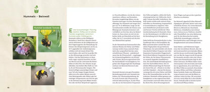 GU Quickfinder Artenvielfalt im Gartenjahr (Deutsch, 2023, Antje Arnold)