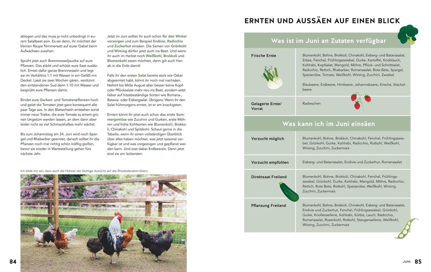 GU Homefarming: Das Kochbuch. Mit der eigenen Ernte durchs ganze Jahr (Deutsch, 2023, Judith Rakers)