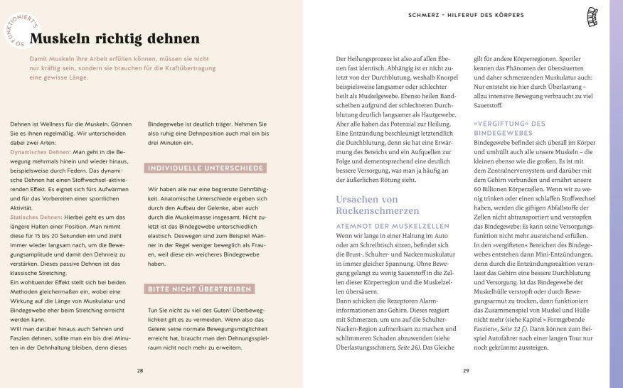 Bandscheiben-Akut-Training