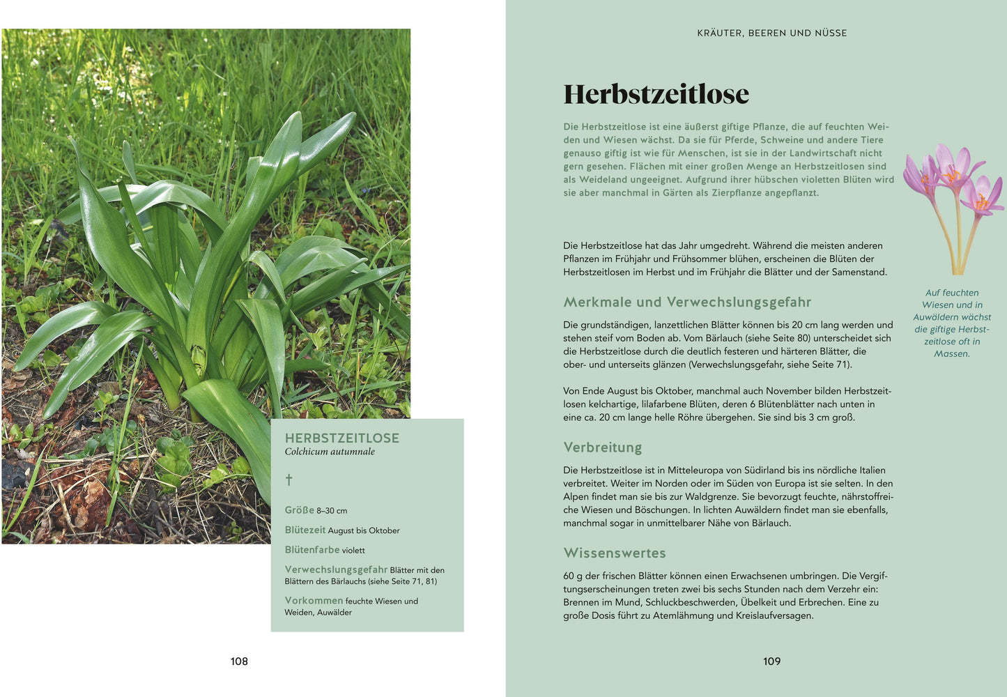 Abenteuer Wald