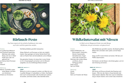 Abenteuer Wald