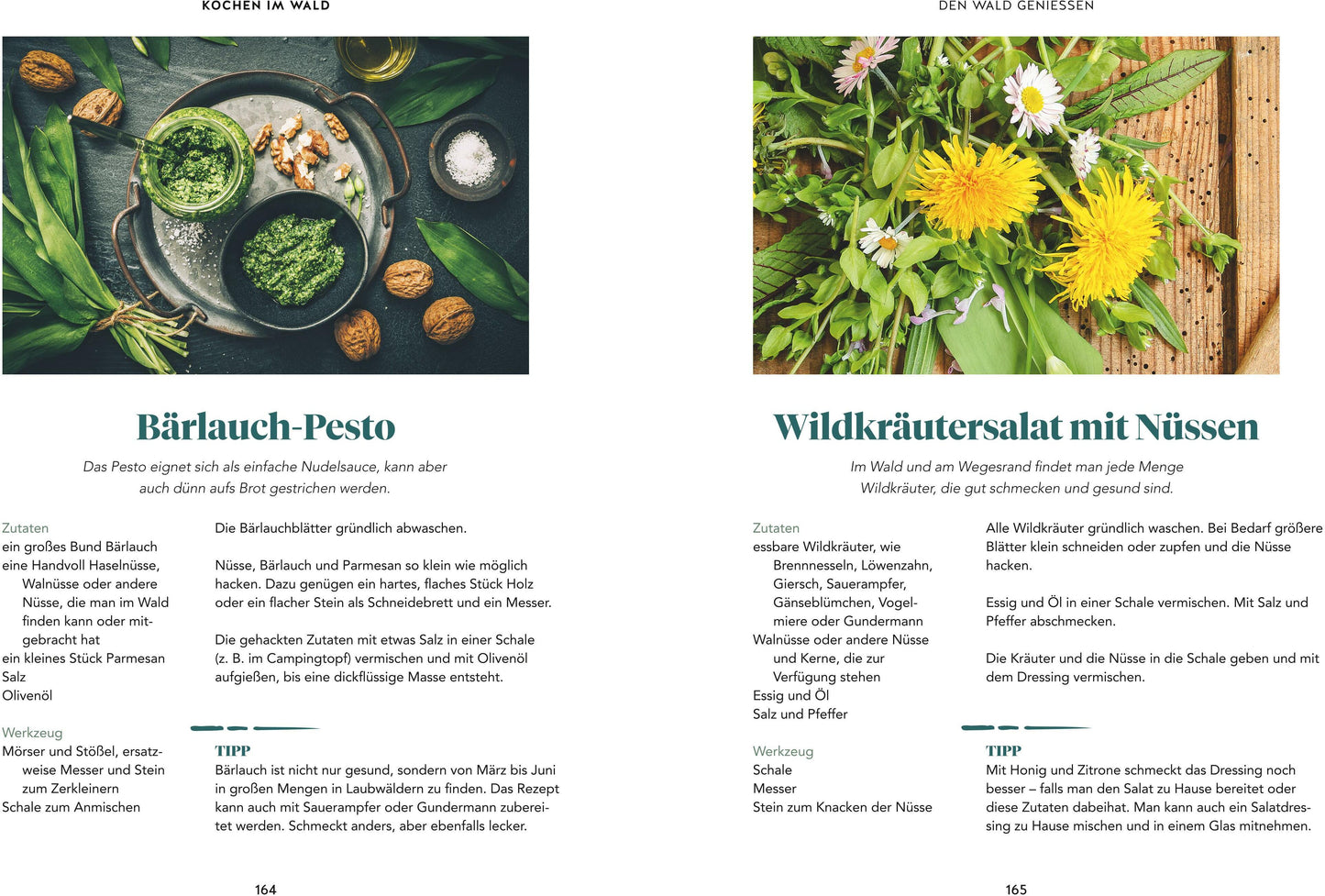 Abenteuer Wald