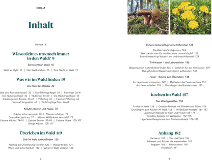 Abenteuer Wald
