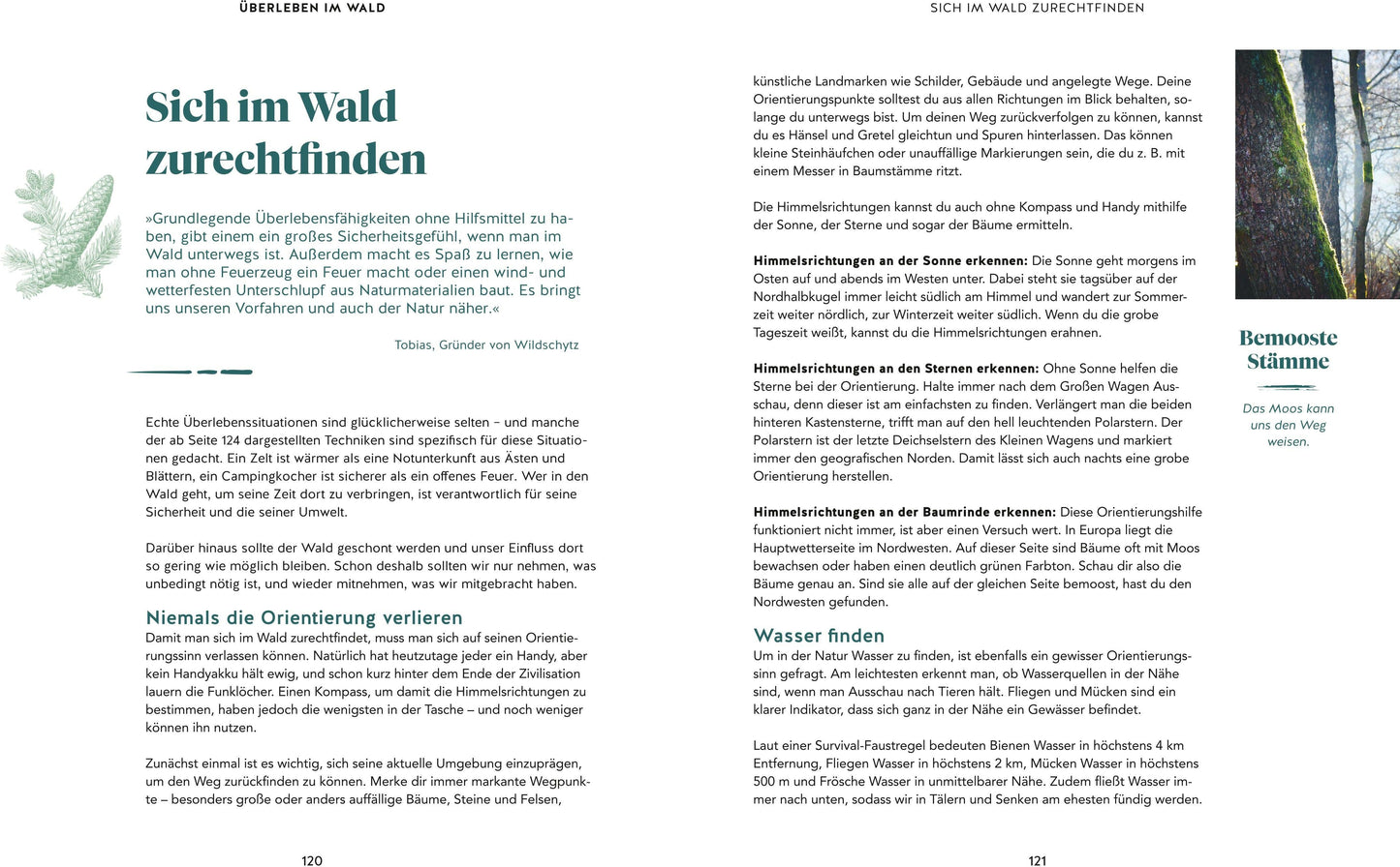 Abenteuer Wald