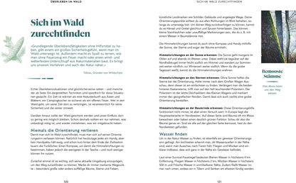 Abenteuer Wald