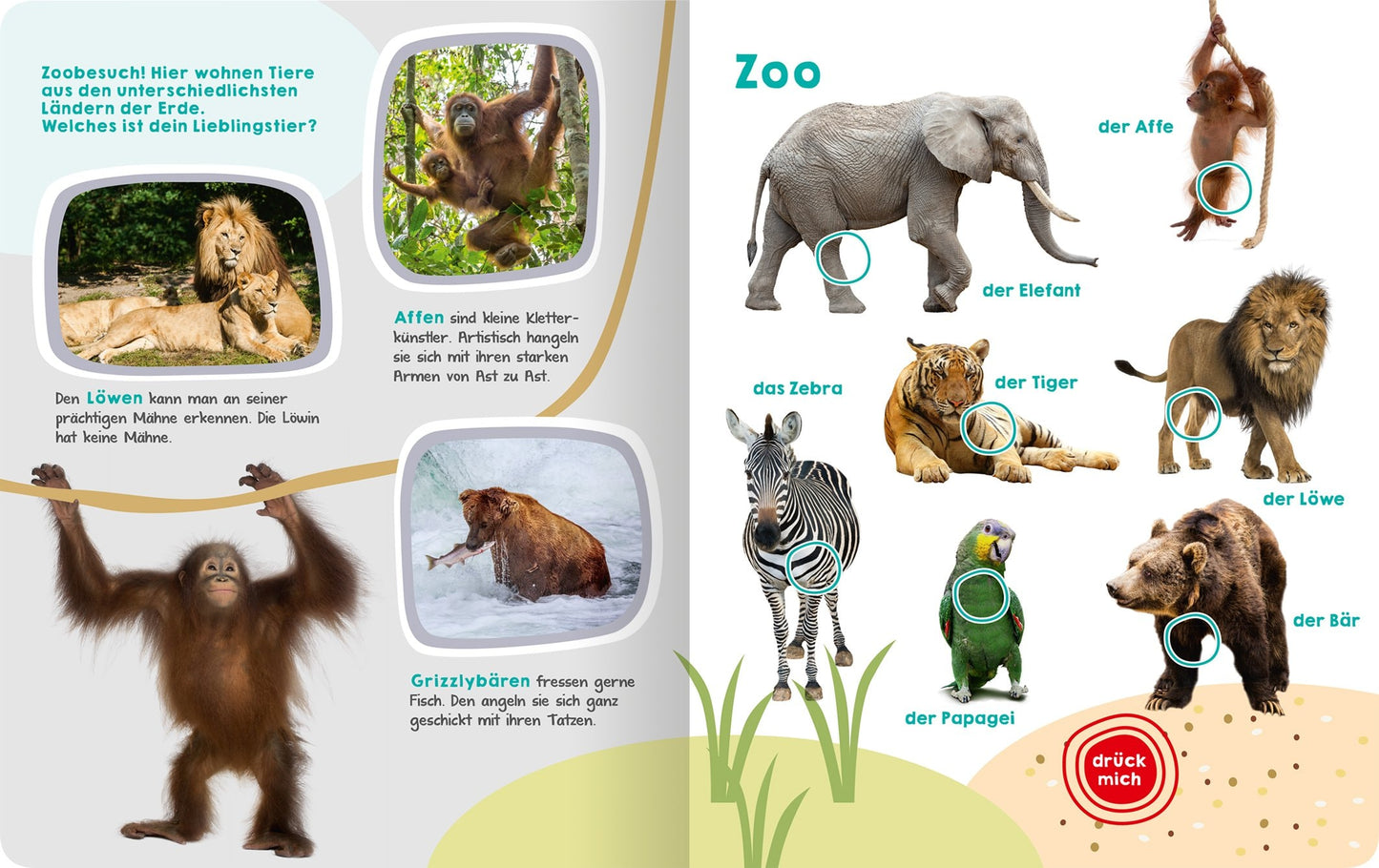 Ars Edition Mein grosses Buch der Tiergeräusche (Deutsch, 2017, Oliver Grieshammer)