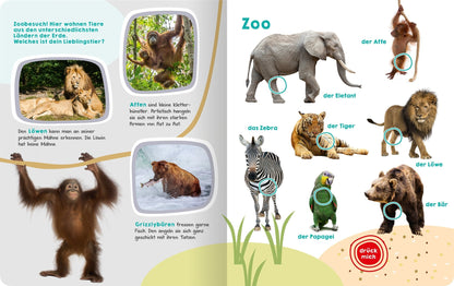 Ars Edition Mein grosses Buch der Tiergeräusche (Deutsch, 2017, Oliver Grieshammer)