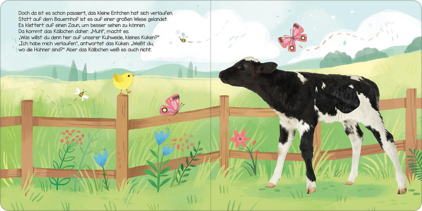 Ars Edition Hör mal, kleines Küken! (Deutsch, 2022, Kathryn Selbert)