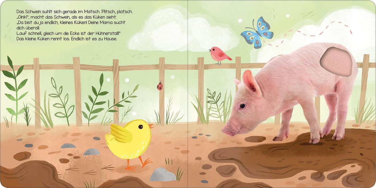 Ars Edition Hör mal, kleines Küken! (Deutsch, 2022, Kathryn Selbert)