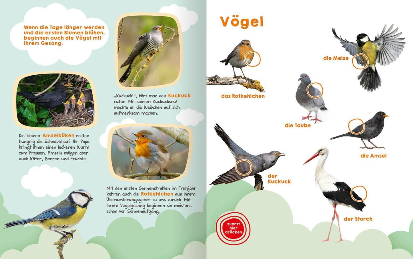 Ars Edition Mein großes Geräuschebuch - Frühling (Deutsch, 2022)