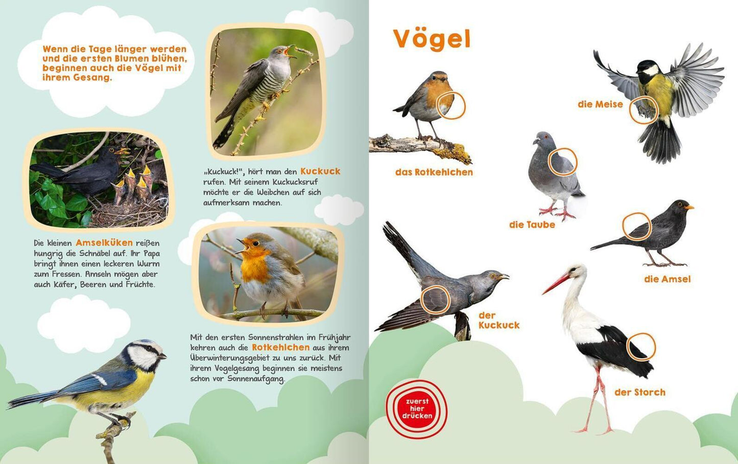 Ars Edition Mein großes Geräuschebuch - Frühling (Deutsch, 2022)