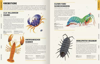 Ars Edition Das große Lexikon der Tiere (Deutsch, 2022, Jules Howard, Andreas Jäger, Jarom Vogel)