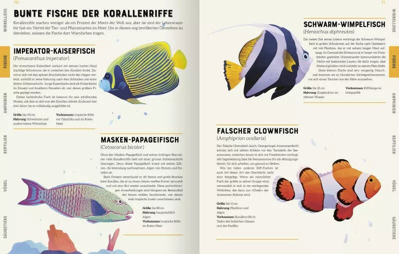 Ars Edition Das große Lexikon der Tiere (Deutsch, 2022, Jules Howard, Andreas Jäger, Jarom Vogel)