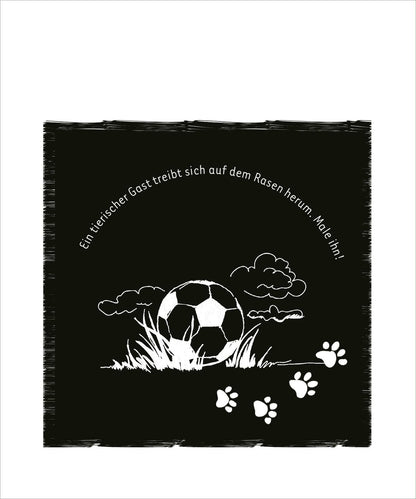 Mein Fussball-Kritzkratz-Buch
