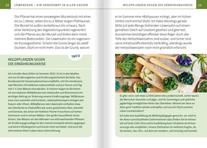 Löwenzahn - Wunderkraut für Resilienz und Lebenskraft. Kompakt-Ratgeber