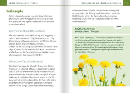 Löwenzahn - Wunderkraut für Resilienz und Lebenskraft. Kompakt-Ratgeber