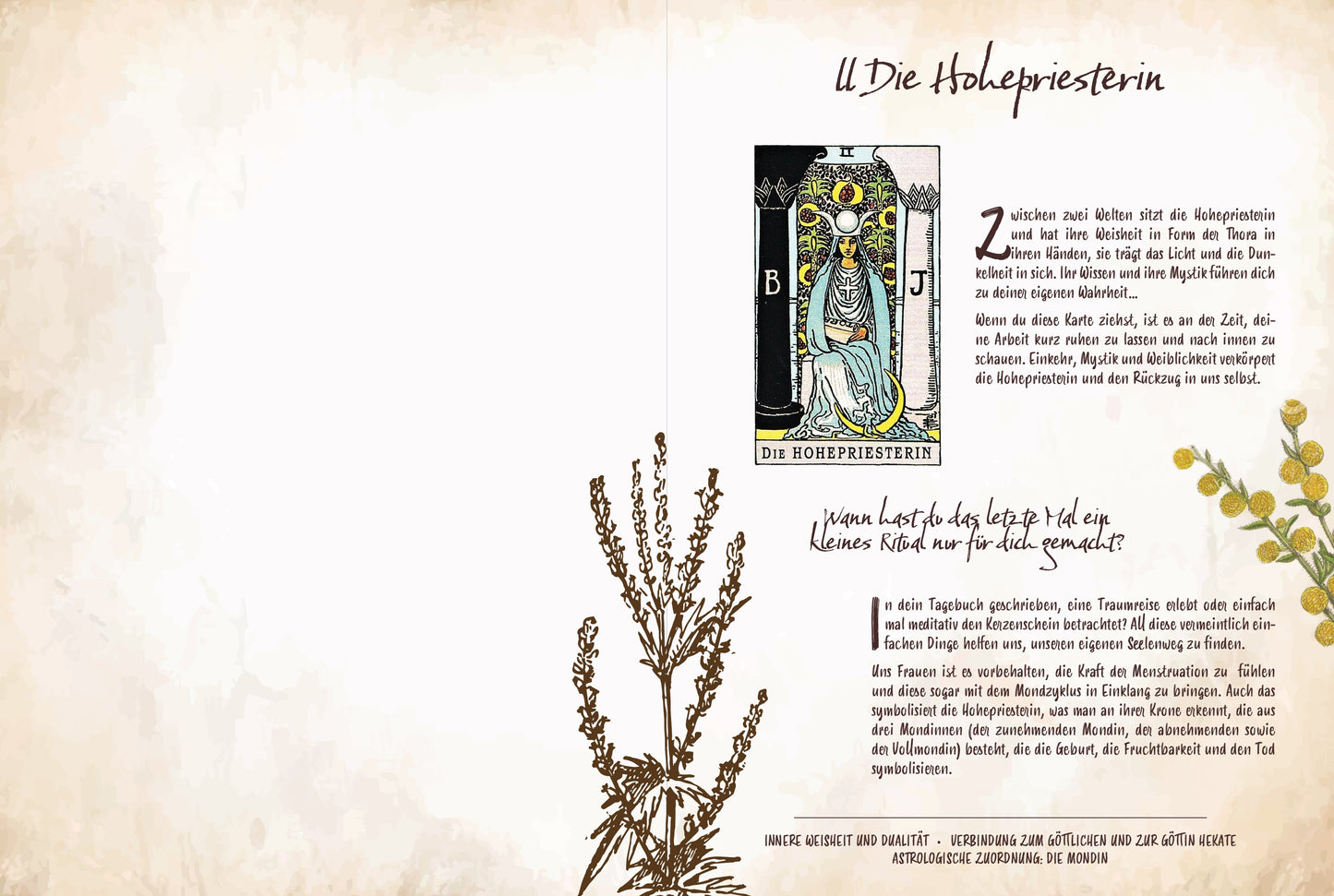 Königsfurt-Urania Tarot & Grüne Magie (Deutsch, 2023, Chiara Butendeich)
