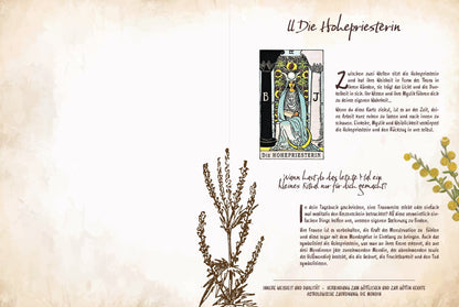 Königsfurt-Urania Tarot & Grüne Magie (Deutsch, 2023, Chiara Butendeich)