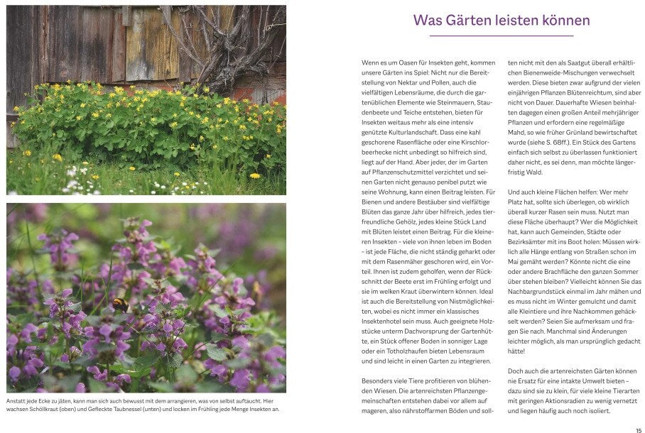 BLV Bienenfreundlich Gärtnern (Deutsch, 2023, Katrin Lugerbauer)